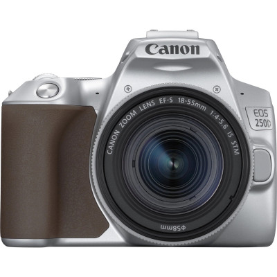Фотоапарат Canon EOS 250D kit (18-55mm) EF-S IS STM Silver (3461C003)