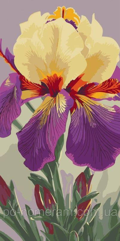 Новинка Живопис по номерам ArtCraft Ірис Карнівал Каперс (ACR-13095-AC) 40 х 80 см, фото 1
