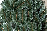 Сосна 1 м Засніжена, фото 3
