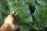 Сосна 1 м Мікс засніжена, фото 3