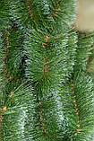Сосна 1 м Мікс засніжена, фото 4