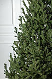 Ялинка лита "Віденська" Зелена 3,00м, фото 3