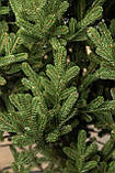 Ялинка лита "Віденська" Зелена 3,00м, фото 10