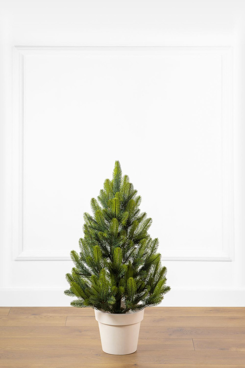 Ялинка лита "Лапландська" в горщику ВЕСНЯНА 0,70м, фото 1