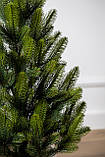 Ялинка лита "Лапландська" в горщику ВЕСНЯНА 0,70м, фото 5