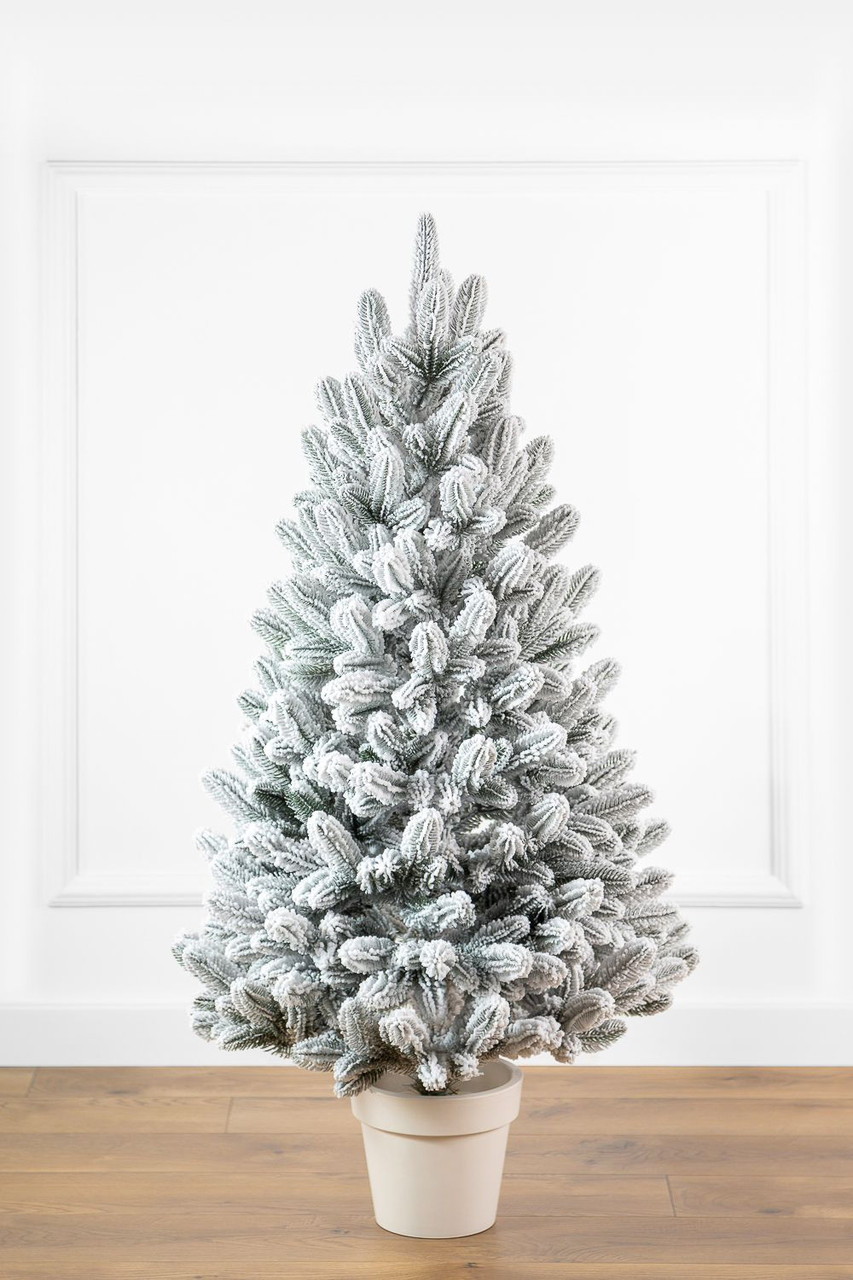 Ялинка лита "Лапландська" в горщику ЗАСНІЖЕНА 0,70м, фото 1