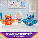 Інтерактивна іграшка в яйці Хетчималс Містері Хетч Драггл Hatchimals Alive Mystery Hatch Draggle 2024, фото 2