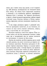 Книга «В Країні Сонячних Зайчиків (адаптоване видання)». Автор - Всеволод Нестайко, фото 3