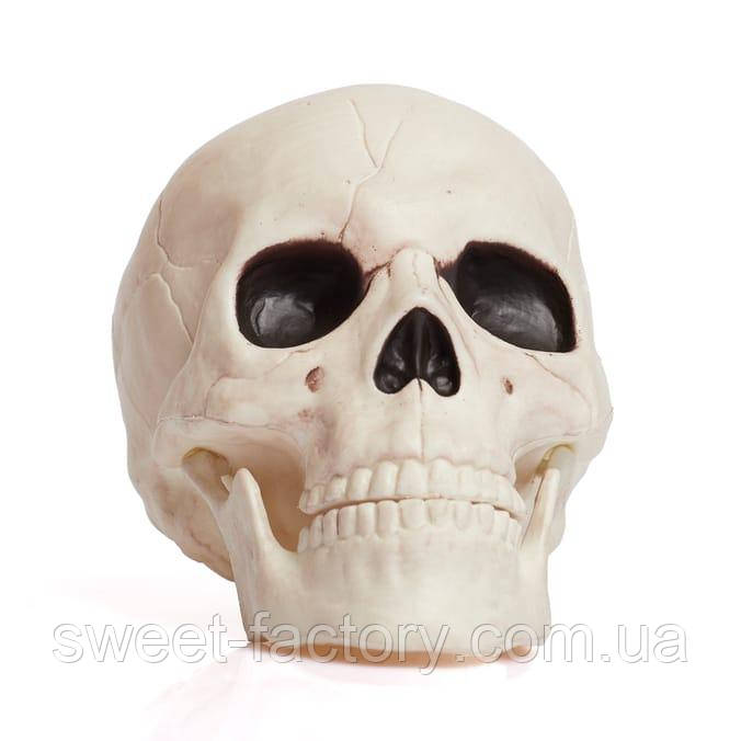 Декорація череп Haunted House Moving Jaw Skull