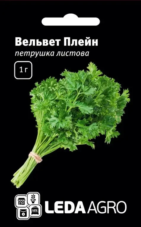 Петрушка листова Вельвет Плейн 1 г — сорт листової петрушки LEDAAGRO