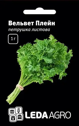 Петрушка листова Вельвет Плейн 1 г — сорт листової петрушки LEDAAGRO, фото 1