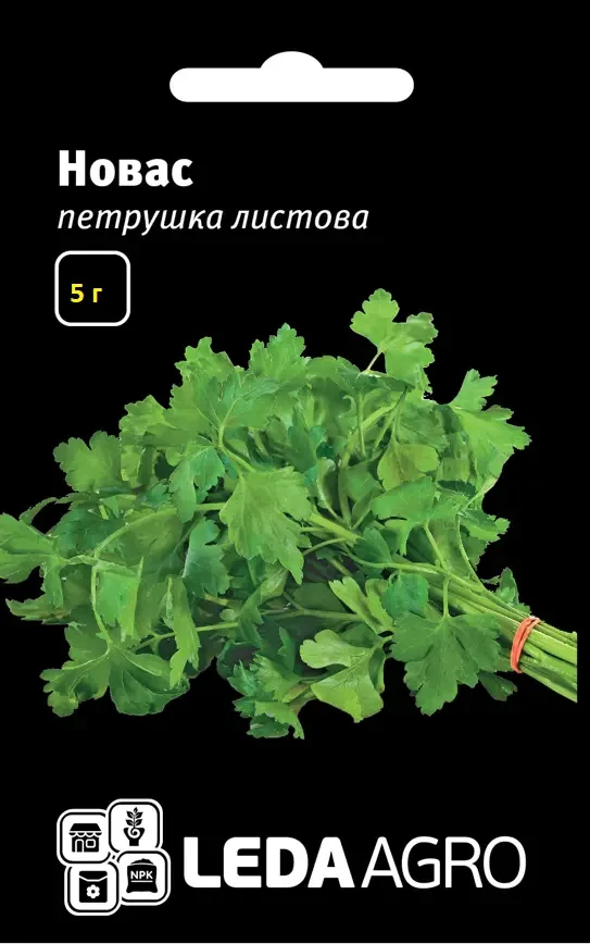 Петрушка листова Новас 5 г — сорт листової петрушки LEDAAGRO