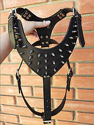 Шлейка воротник с шипами из натуральной кожи "Lockdog" размеры S M L