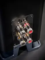 Підлогові колонки ELAC Carina FS 247.4, фото 4