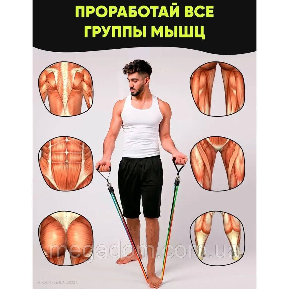 Еспандер петля для фітнесу exercise pipe, Гумові гумки фітнесу easyfit, Латексний VP-650 еспандер вправи