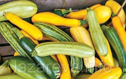 Насіння кабачків "від Лазаревих" Суміш сортів 5 г