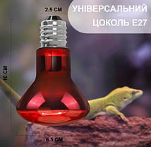 Інфрачервона нагрівальна лампа, Repti-Zoo Infrared Heat, 35W., фото 5