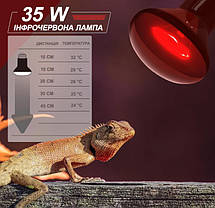 Інфрачервона нагрівальна лампа, Repti-Zoo Infrared Heat, 35W., фото 4