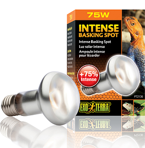 Лампа Exo-Terra Sun Glo Tight Beam S20, 75 Вт. Призначена для створення зон нагрівання рептилій, фото 3