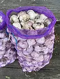 Овочева сітка з дрібною ячейкою 28х40 на 5кг. 50шт. Євро сітка-мішок для овочів., фото 6