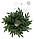 Вінки хвойні різдвяні Classic литі d-40 см зелений, фото 2