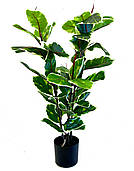 Фікус різнокольоровий Еластіка Беліз (Belize) штучний 95 см