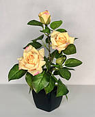 Троянда чайна штучний кущ в горщику 29 см