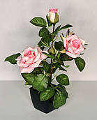 Троянда рожева штучний кущ в горщику 29 см