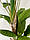 Бананове дерево штучне у горщику 190 см, фото 3