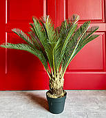 Цикас штучний в горщику 85 см