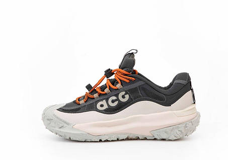 Зимові Чоловічі Кросівки Nike ACG Mountain Fly 2 Gore-Tex Low / Найк АСГ Маунтін Флай 2 Низькі Темно Сірі, фото 1