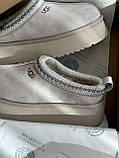 Уги жіночі Ugg Tasman Platform Light Grey сірий короткі сабо тасман стильні капці на платформі, фото 4
