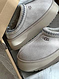 Уги жіночі Ugg Tasman Platform Light Grey сірий короткі сабо тасман стильні капці на платформі, фото 7