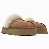 Уги жіночі Ugg Disquette Platform Slippers Chestnut коричневі замшеві короткі стильні капці, фото 3