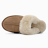 Уги жіночі Ugg Disquette Platform Slippers Chestnut коричневі замшеві короткі стильні капці, фото 5