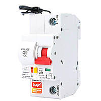 Розумний автоматичний вимикач Tervix Pro Line Wi-Fi Circuit Breaker 10A (439450)