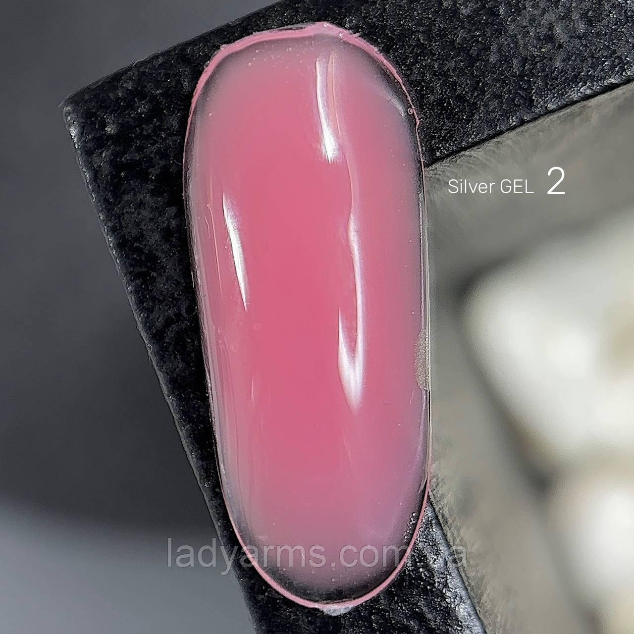 Silver GEL 02 25гр.