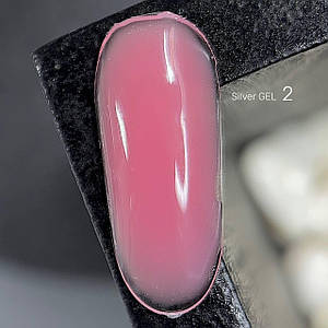 Silver GEL 02 25гр.