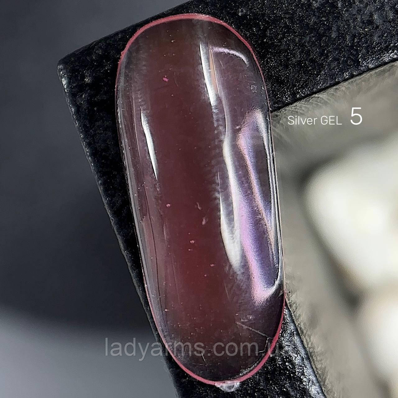 Silver GEL 05 25гр.