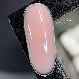Silver GEL 10 25гр.