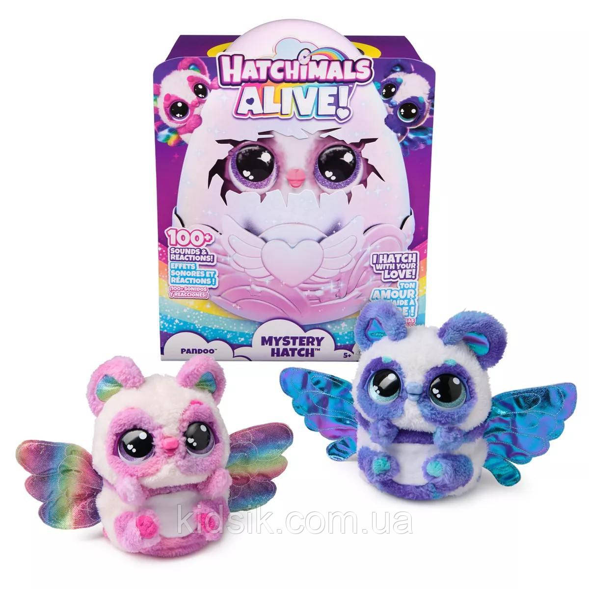 Інтерактивна іграшка яйце Хетчималс Містері Хетч Панду Hatchimals Alive Mystery Hatch Pandoo 2024