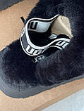 Уги жіночі Ugg Funkette Slipper Platform Black чорний замшеві короткі стильні капці, фото 5