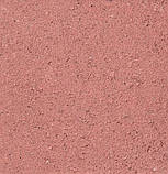 Бруківка «Новатор 6» кольорова на сірому цементі 6 см, фото 6