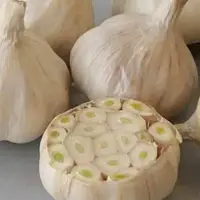 Часник посадковий "Знахар" Нідерланди (Головка) 1кг