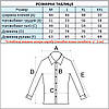 Сорочка чоловіча, приталена (Slim Fit), з довгим рукавом, Birindelli JNS.RGL-04-305 100% бавовна L(Р), фото 5