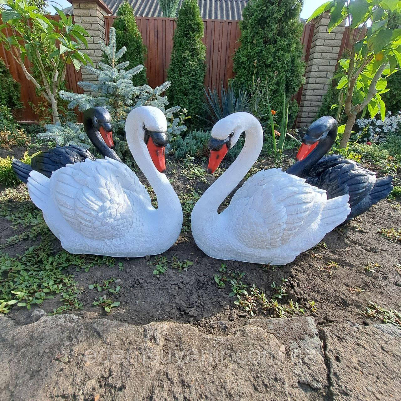 Комплект садових фігур Пара лебедів, білих та чорних