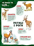 Велика книга про тварин, фото 8