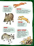Велика книга про тварин, фото 9