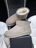 Уги жіночі Ugg Ultra Mini Grey сірий замшеві з хутром теплі на зиму короткі стильні