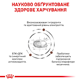 Royal Canin DOG Gastrointestinal для дорослих собак при гострих розладах ШКТ 2кг (від 12 місяців), фото 6